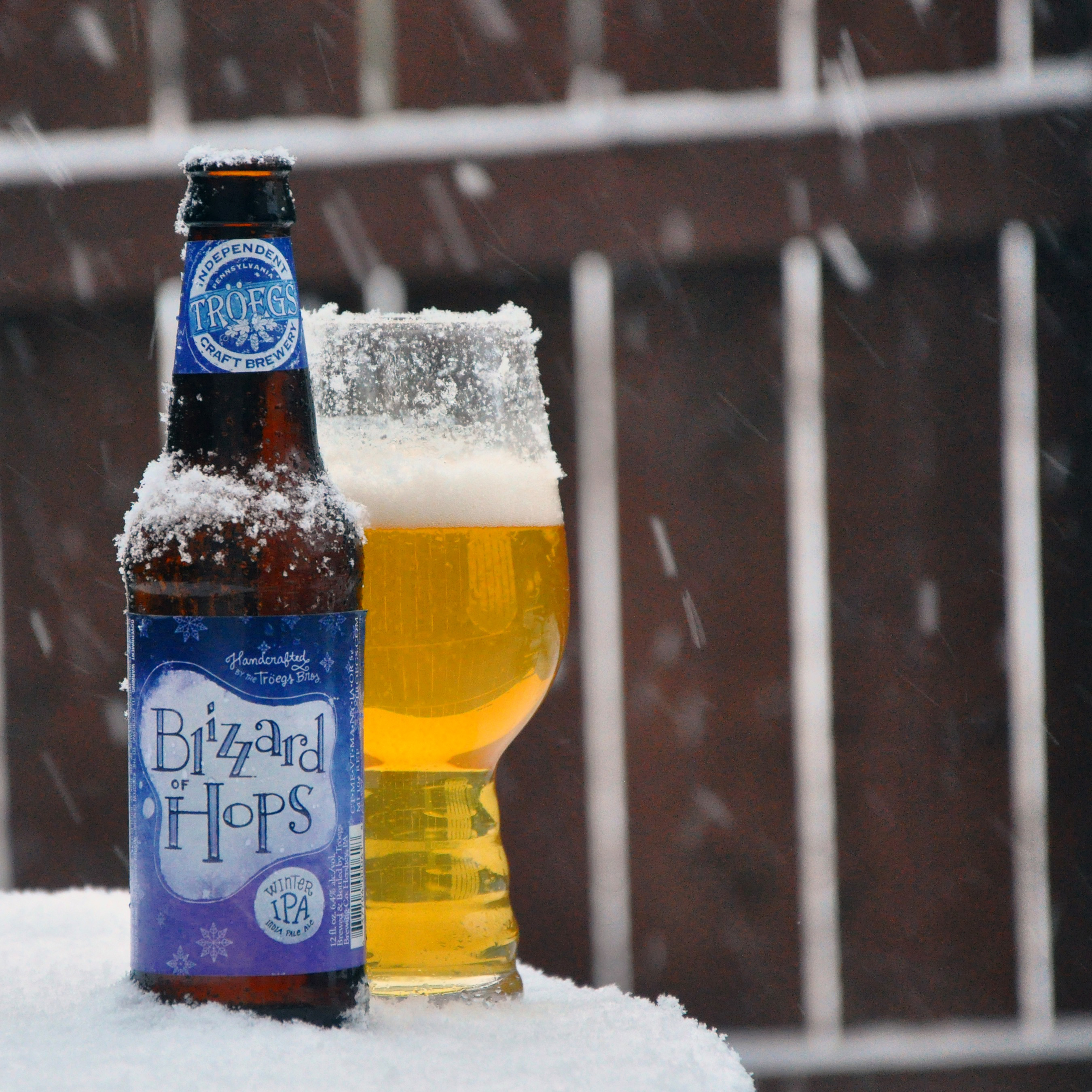 Twelfth Beer of Christmas 2017 Tröegs Blizzard Hops Historic Odessa