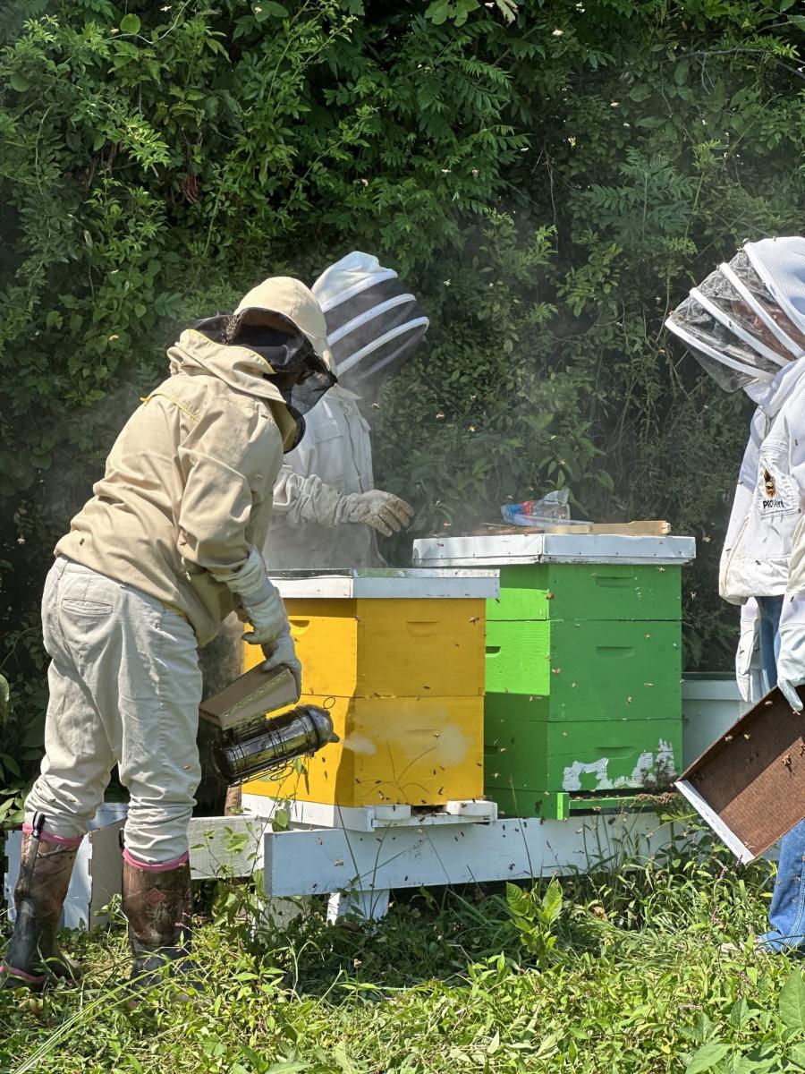 Patriot Acres beehives Patriot Acres beehives