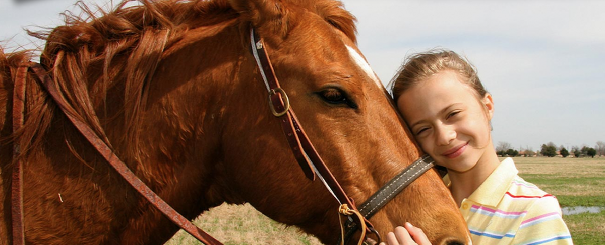 Second Chance Ranch is funded through individual donations and fund raisers.