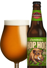 Hop Hog IPA