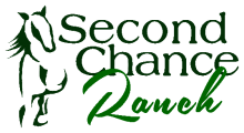 dedicated to providing shelter, care, rehabilitation, and adoption services for abused, neglected and unwanted horses