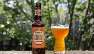 dry-hopped IPA notable for its bold flavor, tart characteristics, and approachable hoppiness