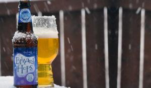 Twelfth Beer of Christmas 2017: Tröegs Blizzard Hops