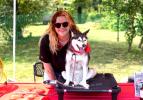 Sit means sit dog training at Odessa Brewfest '25